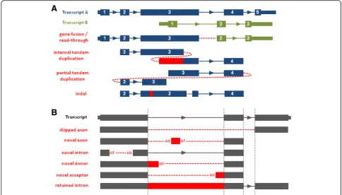 Fig. 2 PAVFinder detects both (events. Dotted vertical lines depict algorithm for detecting novel splicing variants by aligning contig sequences against annotatednumbers