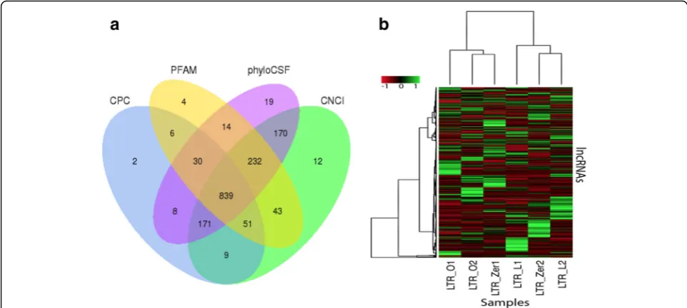 Fig. 2 No difference in the lncRNAs among the three experimental conditions.methods. CPC, Coding-Potential Calculator; PFAM, Protein FAMily analysis; PhyloCSF, Phylogenetic Codon Substitution Frequency; CNCI, Coding-Non-Coding Index