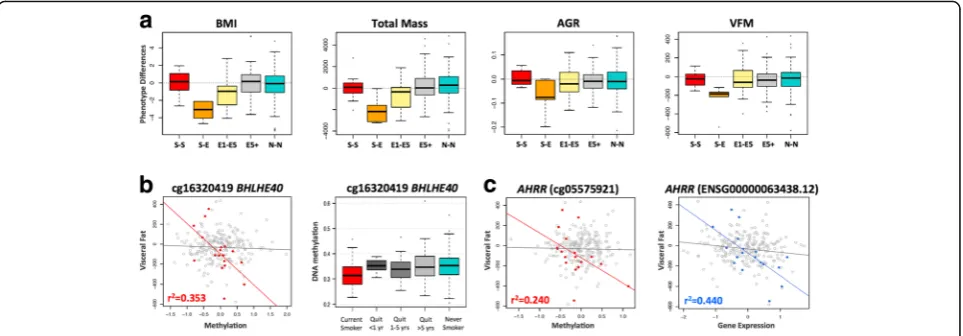 Fig. 6 Smoking-DMS and smoking-DES relate to future changes in visceral fat mass on smoking cessation