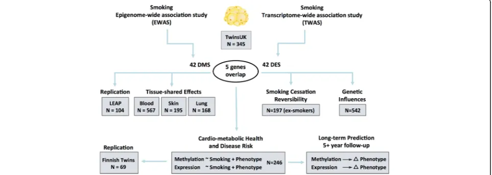 Fig. 1 Study design. Epigenome-wide and transcriptome-wide association studies were performed in 345 adipose tissue samples, identifying 42smoking-DMS and 42 smoking-DES where five genes (14 CpG sites) overlapped