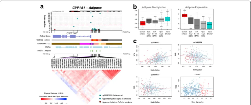 Fig. 3 Smoking-associated DNA methylation and gene expression patterns at CYP1A1. a coMET plot [90] describing the genomic region ofepigenome-wide association between smoking and CYP1A1 methylation (top panel), along with functional annotation of the regio