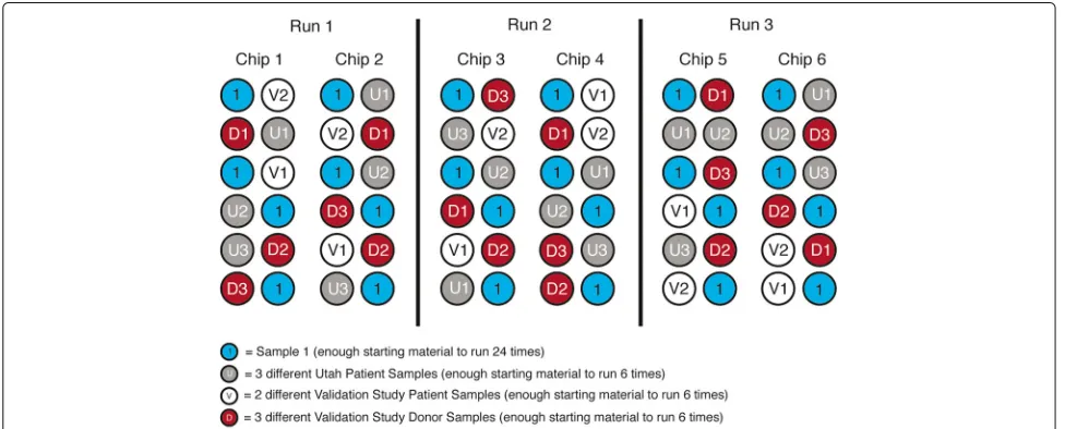 Fig. 4 Precision experimental design. The stratification of the samples analyzed for precision on different chips and varying positions on chips