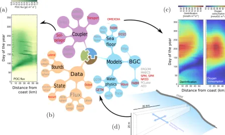 Figure 6. A 2-D idealised cross-shore transect off the German coastline is used to investigate the feedback loop among estuarine circulation,sediment transport, and nutrient cycling across the benthic–pelagic interface