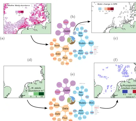 Figure 7. Building ﬂexible applications with MOSSCO. Two bivalve-related scientiﬁc applications are showcased: Nasermoaddeli et al.concentration(2018) investigated the effect of bottom-dwelling Fabulina fabulaof erodibility by benthic bivalves, and an expl