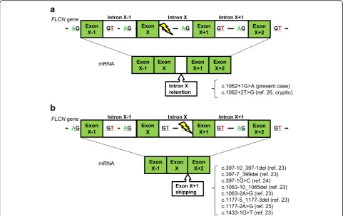 Fig. 3 mRNA processing of FLCN with splice-site mutations Green boxes are exons and white boxes are introns