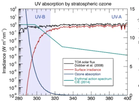 Figure 1. Sample UV irradiance spectrum at the Earth’s surface ona clear summer day (averaged and sampled over 0.5 nm intervals).Stratospheric (OUV radiation in the atmosphere (blue curve)