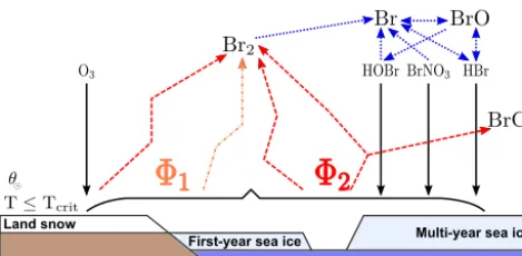 Figure 1. Schematic scenario of bromine release from ﬁrst-year seaice, multi-year sea ice, and land snow adapted from Toyota et al.(2011) for a temperature threshold Tcrit