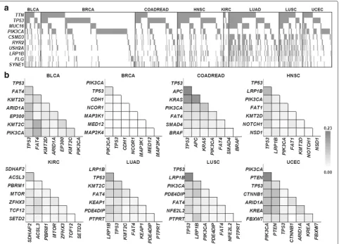Fig. 1 Frequent somatic mutations and co-occurring mutation pairs.shown for the top 10 frequently mutated genes across all cases