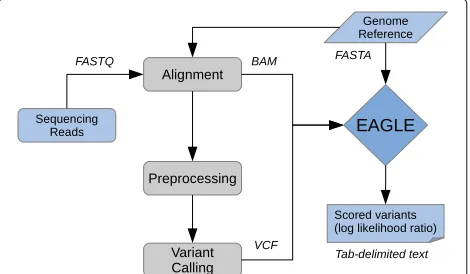 Fig. 2 A high level overview of the EAGLE workflow. EAGLE requires:read alignments in BAM format, a set of candidate variants in VCFformat, and the reference genome as a FASTA file
