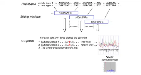 Fig. 1 The workflow of data preparation for constructing LDSplitDB