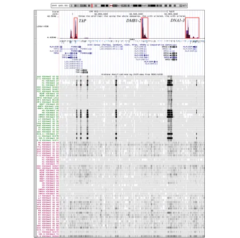 Fig. 3 The locations of the six hotspots identified in a fragment of MHC by sperm typing [24] and histone modification profiles (H3K4me3, H3K9me3)from Roadmap Epigenomics Project