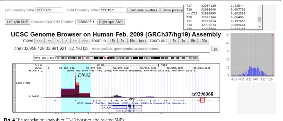 Fig. 4 The association analysis of DNA3 hotspot and related SNPs