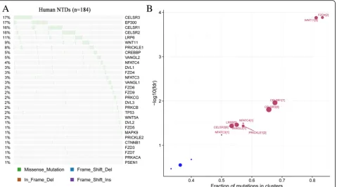 Fig. 1 Frequently mutated genes and driver genes detected in human NTDs. a Frequently mutated genes across individual human NTDs
