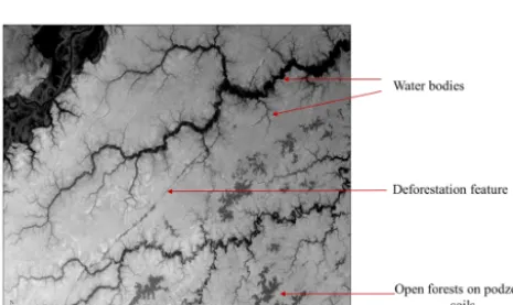 Figure 1. Study area. The grey scale represents the elevation values in metres from the SRTM-DEM data