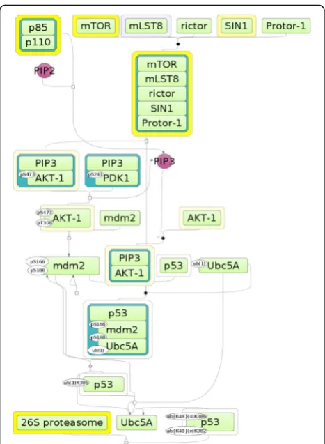 Fig. 6 Visualization of canonical PI3K sub-pathway that leads to in-hibition of p53 (PI3K —Mdm2-−−/ p53)