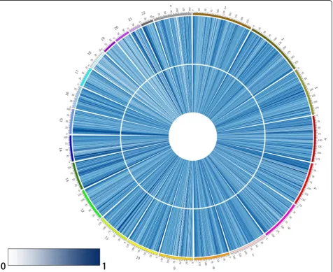 Fig. 1 Overview of the average genome-wide DNA methylation level of genomic loci at each chromosome in Hainan centenarians and healthycontrols, analyzed by Circos software