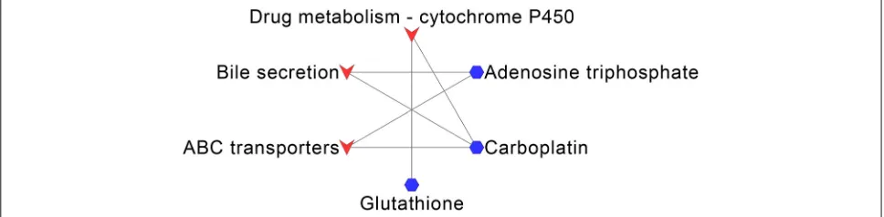 Fig. 7 Overlapped KEGG pathways between Alcohol dependence and the predicted drugs. The blue hexagon nodes represent drugs predicted totreat Alcohol dependence, the red vee nodes represent overlapped KEGG pathways between drugs and Alcohol dependence