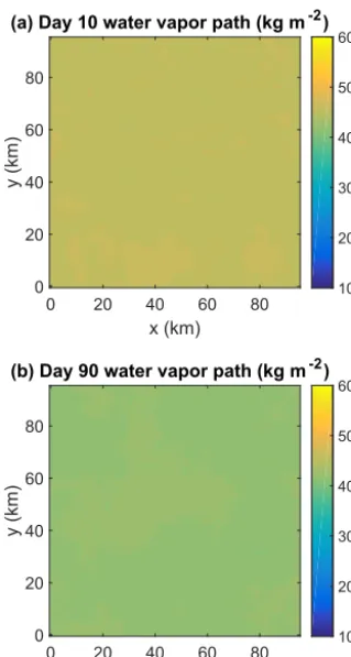 Figure 6. Daily mean water vapor path (computed from hourly av-erages) on day 10 (a) and day 90 (b) of the small-domain SAMsimulation at Ts = 300 K.