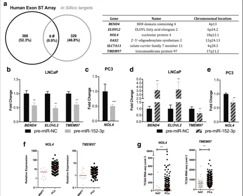 Fig. 4 Identification of putative targets of miR-152-3p in PCa cell lines. a Genes selected for validation in our experimental settings: combining insilico prediction targets with genome-wide expression using GeneChip® Human Exon ST Array