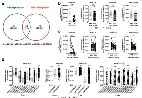 Fig. 1 Identification of miRNAs downregulated by DNA methylation in prostate cancer, using a combinatorial approach.miR-23b, miR-27b, and miR-152-3p in PCa samples compared to NAT samples.pairs using TCGA cohort