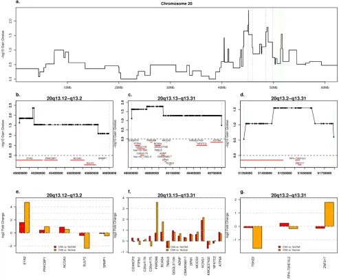 Figure 5Chromosome 20 Amplifications and Associated Expression ChangesChromosome 20 Amplifications and Associated Expression Changes