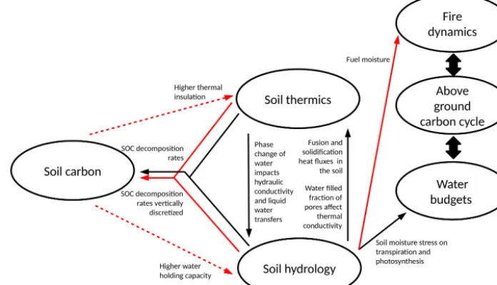 Figure 1. Temperature, water and carbon interactions in the initial version of ORCHIDEE (black), and processes included in ORCHIDEE-MICT in this study (red)