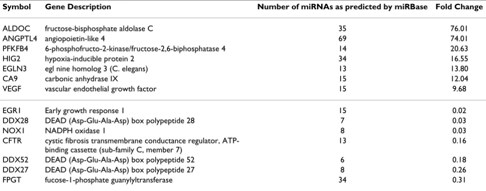 Table 1: Representative list of genes changed between hypoxia and normoxia including number of miRNAs predicted to have target sites in each gene (p ≤ 0.001).