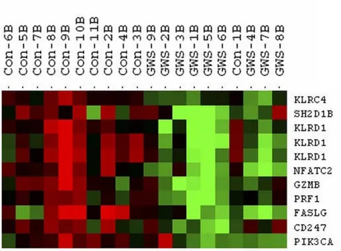 Figure 1Heatmap depicting the expression levels of genes separating GWI cases from controls immediately after the exercise challengeHeatmap depicting the expression levels of genes separating GWI cases from controls immediately after the exercise challenge