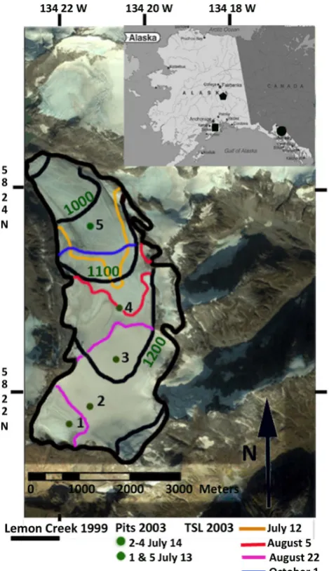 Figure 2. Map of Lemon Creek Glacier indicating primary snowpit locations, and the TSL location on speciﬁc dates in 2003