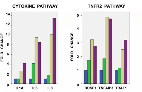Table 2: The 10 most upregulated genes after at 36 hours after carboplatin exposure compared to baseline.