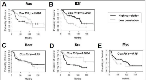 Figure 4Survival analysis for Connectivity Map perturbagen correlation as a risk factorSurvival analysis for Connectivity Map perturbagen correlation as a risk factor