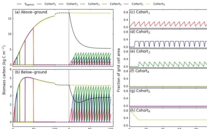 Figure 6. Biomass carbon stock as simulated by two model conﬁgurations without (Vertical grey lines indicate the end of the spin-up and the start of transient simulations