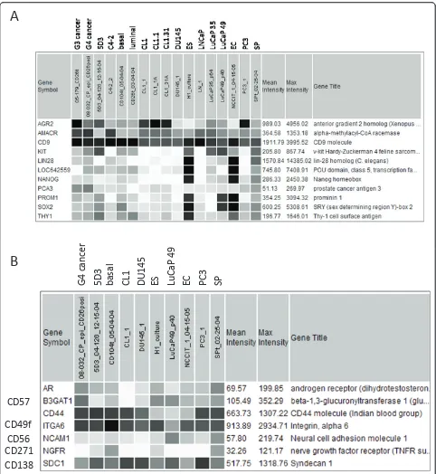 Figure 5 Differential gene expression among cancer cell types. A: Shown is the dataset query display of selected genes among the celltypes listed