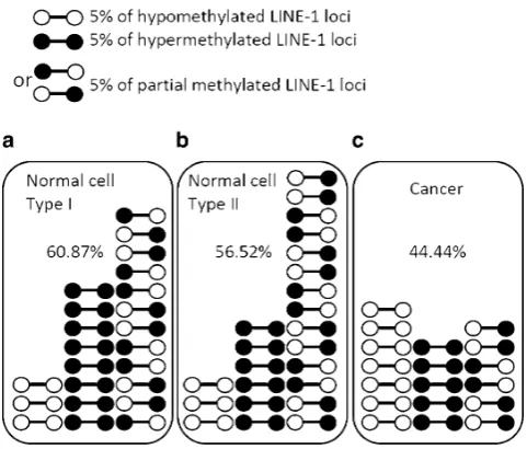 Fig. 4 Examples of LINE-1 methylation patterns in three cells. Thenumber of LINE-1 loci and the methylation levels were approximatedfrom the average levels of a previous report (Pobsook et al