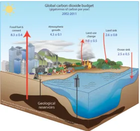 Figure 1. Schematic representation of the overall perturbation of the global carbon cycle caused by anthropogenic activities, averaged glob-ally for the decade 2002–2011
