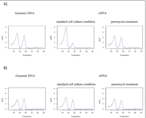 Figure 4 Non-sense mediated mRNA decay causes differential allelic expression in CHEK2*1100delC carriers