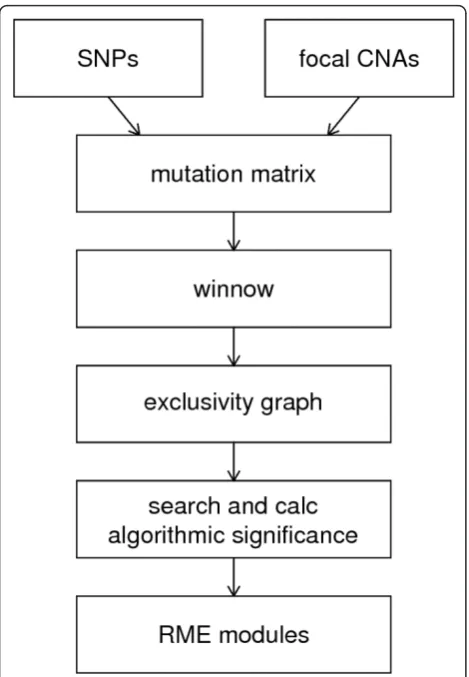Figure 2 Analysis Pipeline. In a preprocessing step, validated SNPsand focal CNAs are combined into a mutation matrix