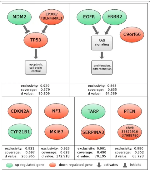 Figure 4 Pathway context for RME modules found in glioblastomaTP53. Genes colored red are recurrently mutated in such a way that weexpect loss of function, and those colored green are amplified or contain putatively activating mutations