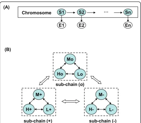 Figure 1 vCGH model structurerespectively. There are nine hidden states that GEP profilessuperimposed on CGH,State transition diagram of vCGH model
