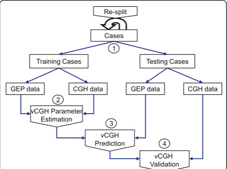 Figure 2 Procedure of vCGH training and validation. The entiredataset was split into training and testing datasets