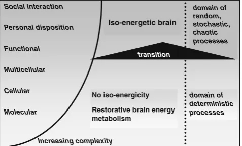 Fig. 1 Schematic representation of the concept of iso-energetic brainin relation to complexity of neurobiological processes