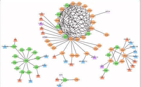 Figure 7 100 frequent associations obtained after p value cut off in BLCA with CDCOCA