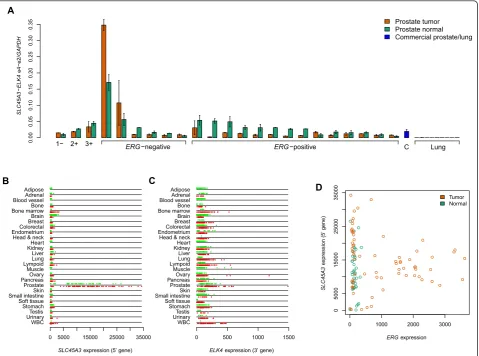 Figure 4 Expression patterns of the SLC45A3-ELK4 e4-e2 TIC and related genesthat highest expression ofSLC45A3sequenced prostate tumor and normal sample pairs T1/N1, T2/N2, and T3/N3 pairs (labeled as 1-3, and marked withprostate normal RNA, and 9 lung canc