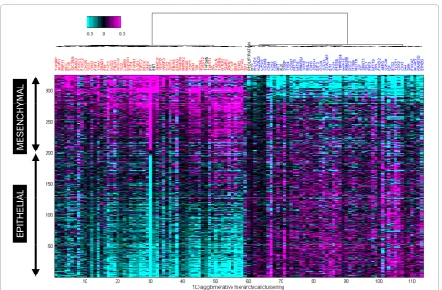 Figure 2 Hierarchical cluster analysis of the top 100 genes assessed from a text mining approach were strongly associated with theEMT program as shown on 326 MCC colon tumors sorted by PC1