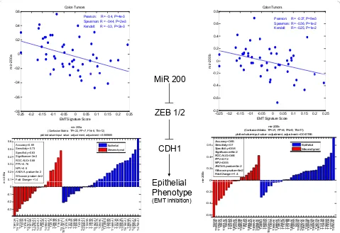 Figure 3 Correlation of microRNA analysis (~700) with PC1/EMT across 49 colorectal cancers identified the MiR200 family as strongly,negatively correlated with PC1/EMT (upper plots)