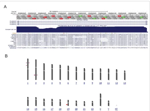 Figure 1 Genomic alignments suggest PLA2G4C noncoding element duplicated from another chromosome