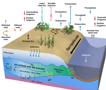 Figure 2. Schematic representation of hydrologic processes simulated in CP v1.0.