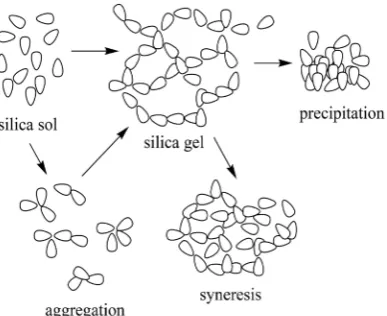 Figure 4. Reaction of Ca2+ and complex. 