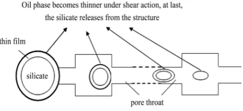 Figure 5. The release process of silicate. 