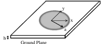 Figure 1. Circular microstrip antenna (CMSA) 